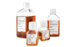 Image shows an array of Fetal Bovine Serum bottles, showcasing various sizes and labeled for biological research applications, commonly utilized in cell culture to nourish and support the growth of eukaryotic cells.