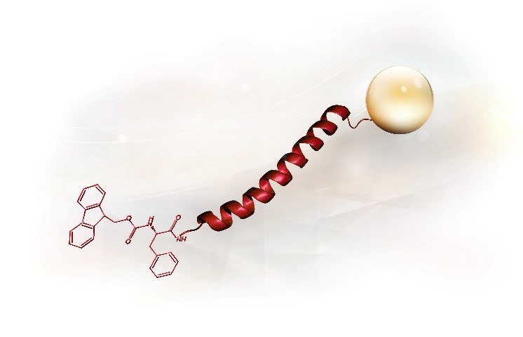 3-D structure of a peptide.