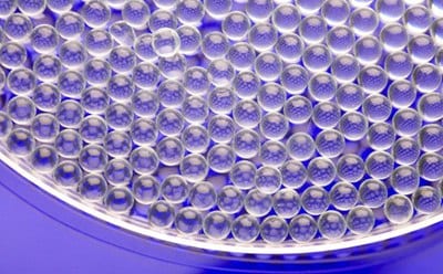 圆形培养皿特写视图，其中盛有无数透明的球形凝胶珠或液滴，紧密排列在光滑的表面上。整体构图凸显了珠子排列的均匀性和精确性。
