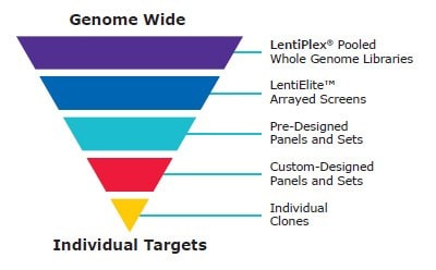 A graphical representation showing a categorization from “Genome Wide” to “Individual Targets”. It consists of an inverted pyramid divided into five colored sections. The top section is labeled “LentiPlex® Pooled Whole Genome Libraries”, followed by “LentiElite™ Arrayed Screens”, “Pre-Designed Panels and Sets”, “Custom-Designed Panels and Sets”, and finally “Individual Clones”.