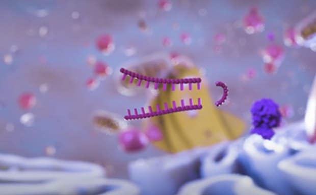 RNAi Single Clones MCP page RNAi单克隆