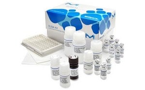 ELISA Kits and Reagents