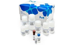 SMC® Immunoassays
