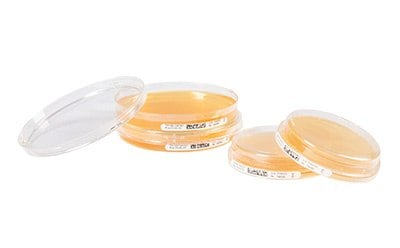 非锁定 ICR 和锁定 ICRplus 接触板和沉降板适用于隔离器和关键洁净室的环境监测。