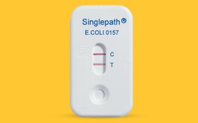 Lateral Flow Test for pathogen detection