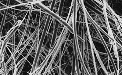Quartz filter 石英滤膜的扫描电镜图像