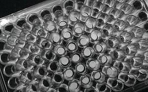 Grayscale close-up of a laboratory microplate with multiple round wells arranged in a grid.