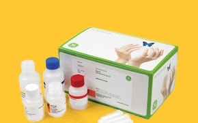 用于制备核酸的 Illustra™ 产品套装。盒子旁边有三个瓶子。整个装置以黄色为背景。