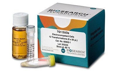 LGC Biosearch™ Technologies electrocompetent cells Photograph of TG1 DUOs electrocompetent cells product including packaging box and three vials.