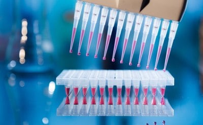 A multi-channel pipette meticulously dispenses pink liquid into a transparent microplate against a backdrop of blurred lab equipment.