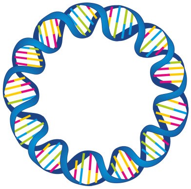 Circular plasmid DNA strand, showcasing the double helix structure with alternating colors representing the base pairs.