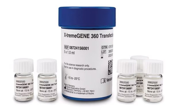 X Tremegene Roche Transfection Reagents Bottles Six laboratory bottles arranged in two rows. The back row features a larger bottle with a blue cap labeled “X-tremeGENE 360 Transfection Reagent,” including product details and storage instructions. In front, there are five smaller bottles with white caps, each labeled with different codes: D4072, D4073, D4074, D4075, and D4076.