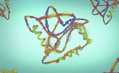 Biopharma Formulation multi colored cells