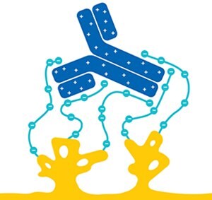 A graphic illustration that features two yellow protein molecules at the bottom, connected by a blue chain of beads representing a polymer, with a blue antibody molecule at the top. The design is simplified and colorful, set against a white background, highlighting the elements involved in the Eshmuno CPX process.