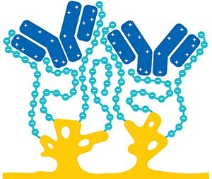 A graphic illustration that features two yellow protein molecules at the bottom, connected by a blue chain of beads representing a polymer, with a blue antibody molecule at the top. The design is simplified and colorful, set against a white background, highlighting the elements involved in the Eshmuno CPX process.