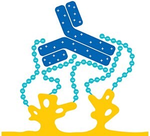 A graphic illustration that features two yellow protein molecules at the bottom, connected by a blue chain of beads representing a polymer, with a blue antibody molecule at the top. The design is simplified and colorful, set against a white background, highlighting the elements involved in the Eshmuno CPX process.