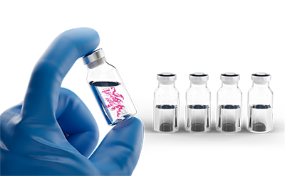 Parenteral formulations using protein stabilizers