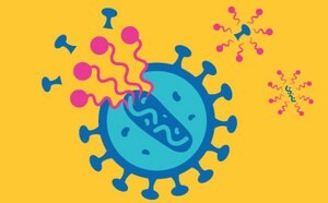 An illustration of a virus depicted in a stylized manner. The virus is shown as a large blue circle with a lighter blue inner section, surrounded by spiky protrusions. Colorful pink and purple shapes, representing viral particles or proteins, are shown emanating from the virus against a bright yellow background.