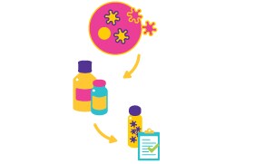 The image is a simplified illustration that depicts the process of converting a virus into a vaccine. It features a pink virus with yellow spikes at the top left, which is transformed into a blue vaccine vial at the bottom right after passing through two intermediary stages represented by bottles containing colorful substances. The transformation is indicated by arrows leading from the virus to the bottles and finally to the vaccine vial, emphasizing the stages of vaccine development. The background is white, highlighting the colorful elements of the illustration.