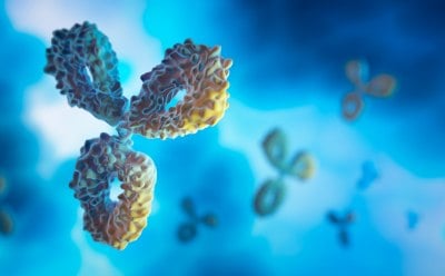 图像左前方可见一个三叉状抗体，背景中还有一些较小的抗体，但处于失焦状态。