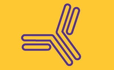 purple line art on a yellow background, resembling an abstract representation of the letter “K.” The design is simple with clean lines and no additional embellishments or textures.