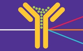 Flow Cytometry Antibodies