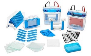 Protein gel electrophoresis using the Millipore® mPAGE™ gel electrophoresis system