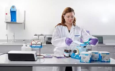 Scientist at a lab table working on Western blot