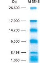 Ultra Low Range Protein Markers Ultra-low molecular weight markers for protein gel electrophoresis