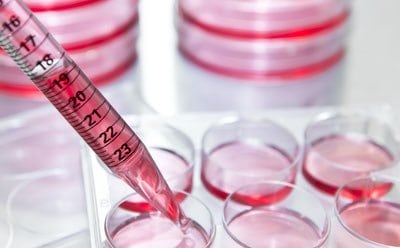 Serological pipets for dispensing cell culture media