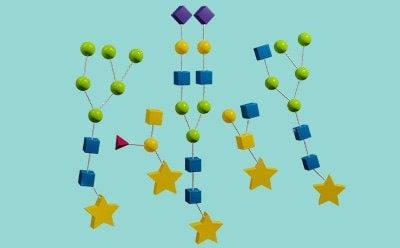 Analyze step of glycobiology workflow with a depiction of N-linked glycan structures that are tagged with labels for analyzing.