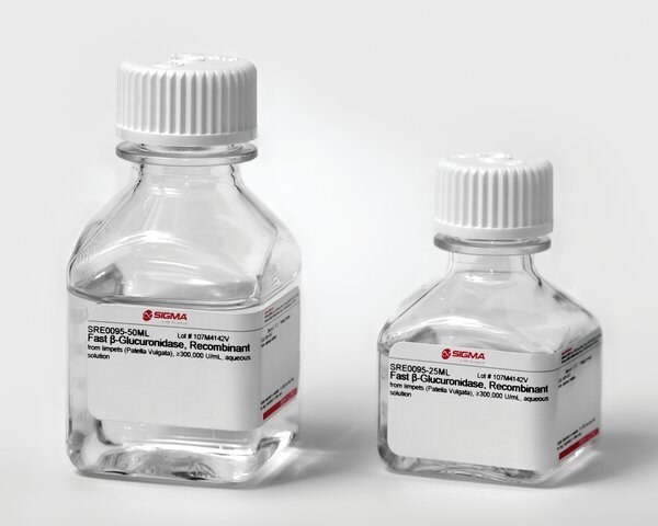β-Glucuronidase from patella vulgata 用于药物分析的β-葡糖醛酸酶和硫酸酯酶