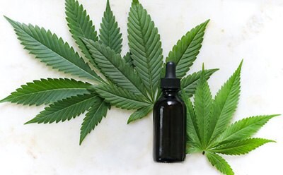 Cannabis Standards 本图片所示为白色背景下亮绿色大麻叶子中间的黑色点滴瓶,强调了其在大麻油或酊剂中的潜在用途。