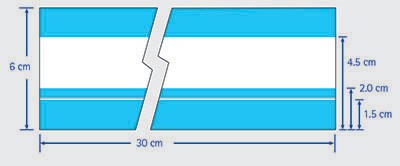 Hi-Flow™ Plus membrane card dimensions