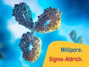 A colorful 3D rendering of an antibody structure against a blue background, with the logos of Millipore and Sigma-Aldrich prominently displayed in the lower right corner. The antibody features intricate textures and colors, highlighting its complex design.