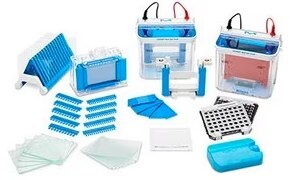 Gel electrophoresis equipment including mPAGE® mini gel tanks, gel casters, drying rack, pouring plates, and combs