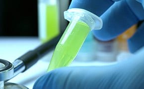 Close-up view of lab worker's blue gloved hand holding a centrifugal tube containing a green solution.