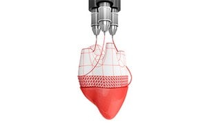 Extrusion bioprinter nozzles depositing bioink to form a layered 3D tissue construct.