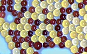 Ion-exchange beads for water purification Ion-exchange beads used in the Milli-Q water purification system