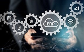 Supply Chain Robustness