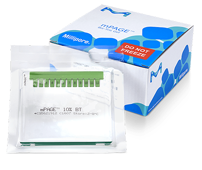 mPAGE™ Bis-Tris Precast Gels & Immobilion® NOW Western Blot membranes