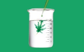 supelco-cannabis-testing.jpg