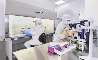 Two lab technicians, fully equipped in personal protective equipment, focused on their work as they collaborate on a cell bank manufacture in a controlled laboratory environment. One looks through a microscope, the other works under a fume hood.