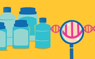 Bioprocessing Outsourcing process for CHO cell line engineering and genetic modification