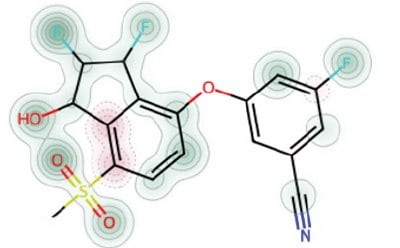 Similarity and Pharmacophore Search An illustration of a chemical structure featuring interconnected atoms and functional groups. The main structure is outlined in black, with highlighted elements in red, blue, and yellow to indicate specific functional groups such as hydroxyl (OH) and sulfonyl (SO).