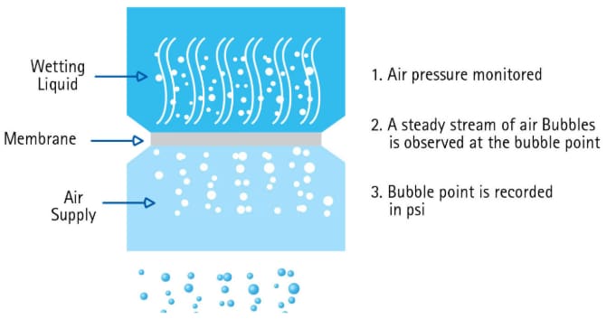 Bubble point test procedures for devices