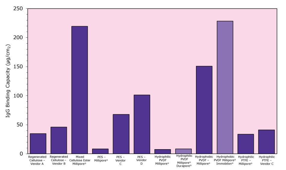 Graphical Protein Comparison