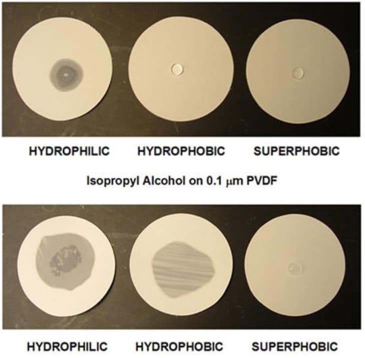 Water droplets on hydrophilic, hydrophobic, and superphobic membrane filters