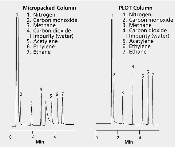 GC Analysis of Permanent Gases and Light Hydrocarbons on Carboxen-1006 PLOT and a Packed Column (Carboxen® 1004)
