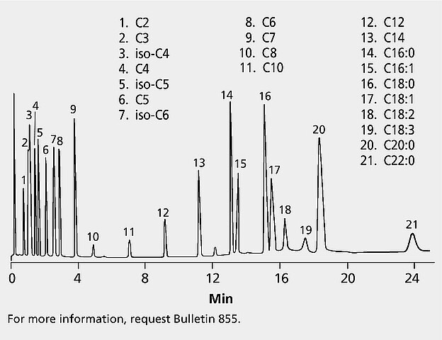 GC Analysis of C2-C22 Free Fatty Acids on Nukol